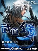 武道至尊小说