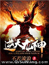 逆天龙神小说