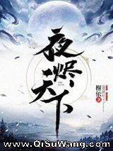夜烬天下小说