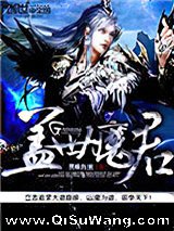 盖世魔君小说