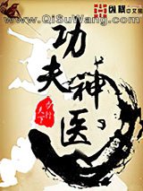 功夫神医小说