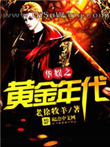 华娱之黄金年代小说