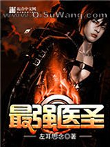 最强医圣小说