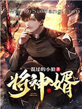 将神婿小说