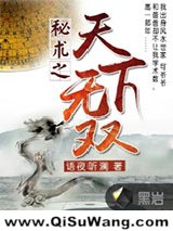秘术之天下无双小说
