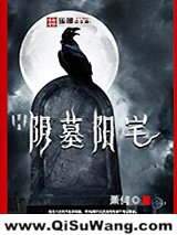 阴墓阳宅小说