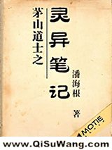 茅山道士之灵异笔记小说