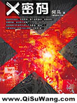 X密码小说
