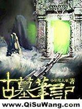 古墓笔记小说