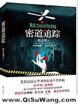 密道追踪小说