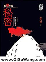 被偷走的秘密小说