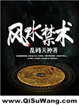 风水禁术小说