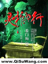 灵棺夜行小说