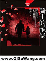 骑士的献祭小说