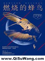 燃烧的蜂鸟小说