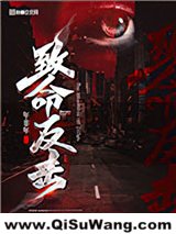 尘案集（致命反击）小说