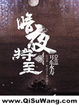 暗夜将至小说