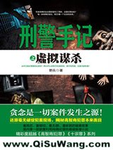 刑警手记之虚拟谋杀小说