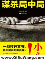 谋杀局中局小说