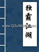 独霸江湖小说