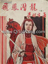 潜龙飞凤小说