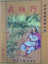 我独行小说