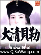 大清贝勒小说