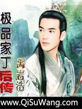 极品家丁后传小说