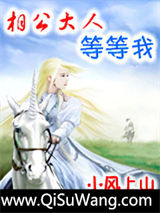 相公大人等等我小说