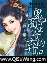 一品下堂：鬼面王爷的弃妃小说