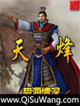 天烽小说