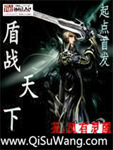 盾战天下小说