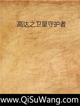 高达之卫星守护者小说