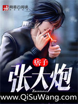 民国张大炮小说