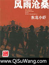 风雨沧桑小说
