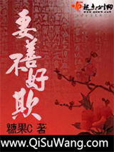 妻善不好欺小说