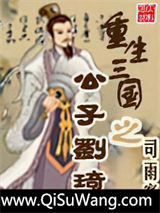 重生三国之公子刘琦小说
