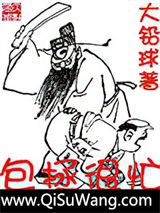 包拯很忙小说