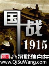 国战1915小说