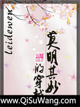 莫明其妙的穿越小说