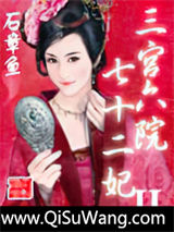 三宫六院七十二妃II小说