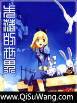 宠物小精灵之失落的世界小说