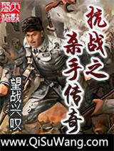 抗战之杀手传奇小说