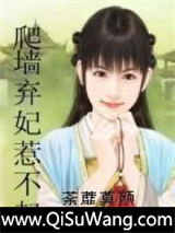 爬墙弃妃惹不起小说