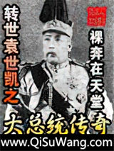 转世袁世凯之大总统传奇小说