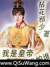 我是皇帝我怕谁小说