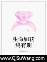 冷面总裁与俏丽女总监小说