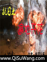 抗日之遍地开花小说