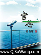 官心小说