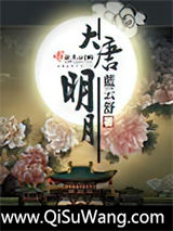 大唐明月小说
